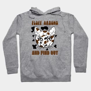 Fluff Around And Find Out funny cat owners gift Hoodie